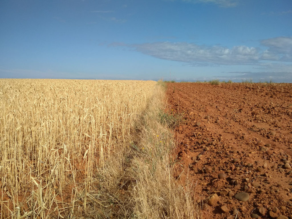 Dos Tierras