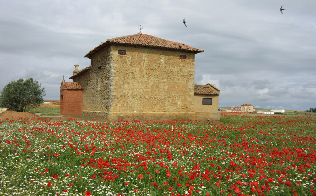 La Primavera Reza