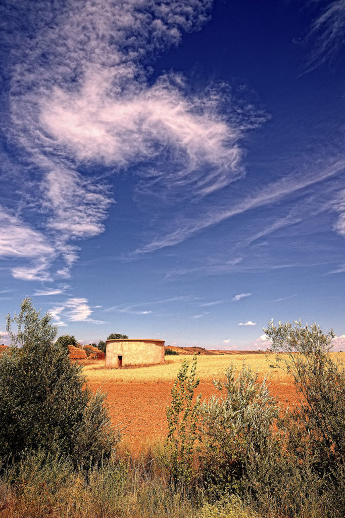 Palomar entre Ramas