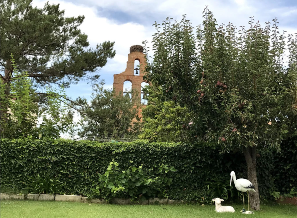 La Cigüeña También Puede Estar en el Patio