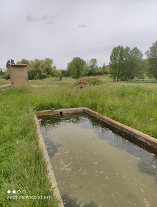 La Fuente