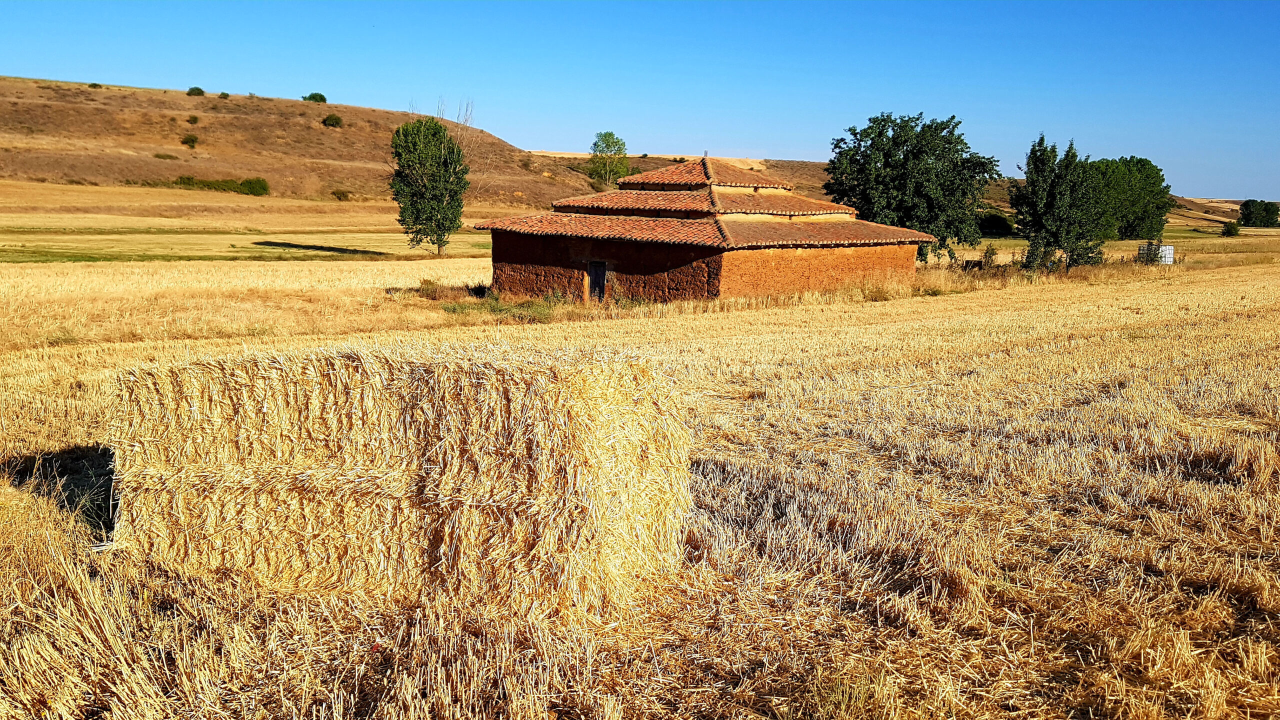 075 Palomar. Fardo a Fardo es el Son del Campo en León