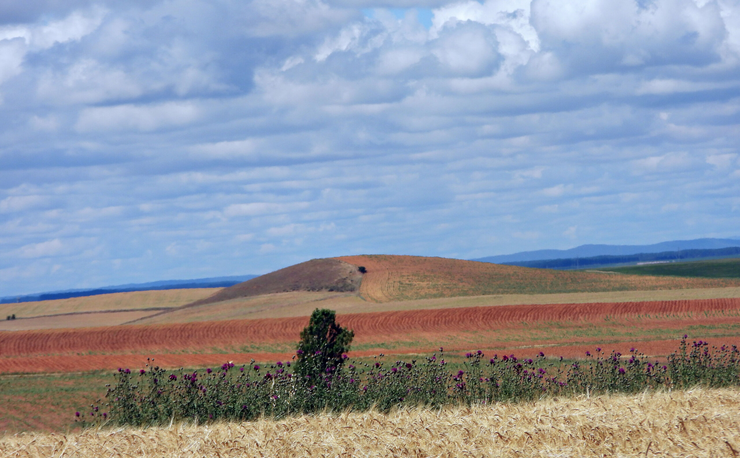 082 Horizonte Azul