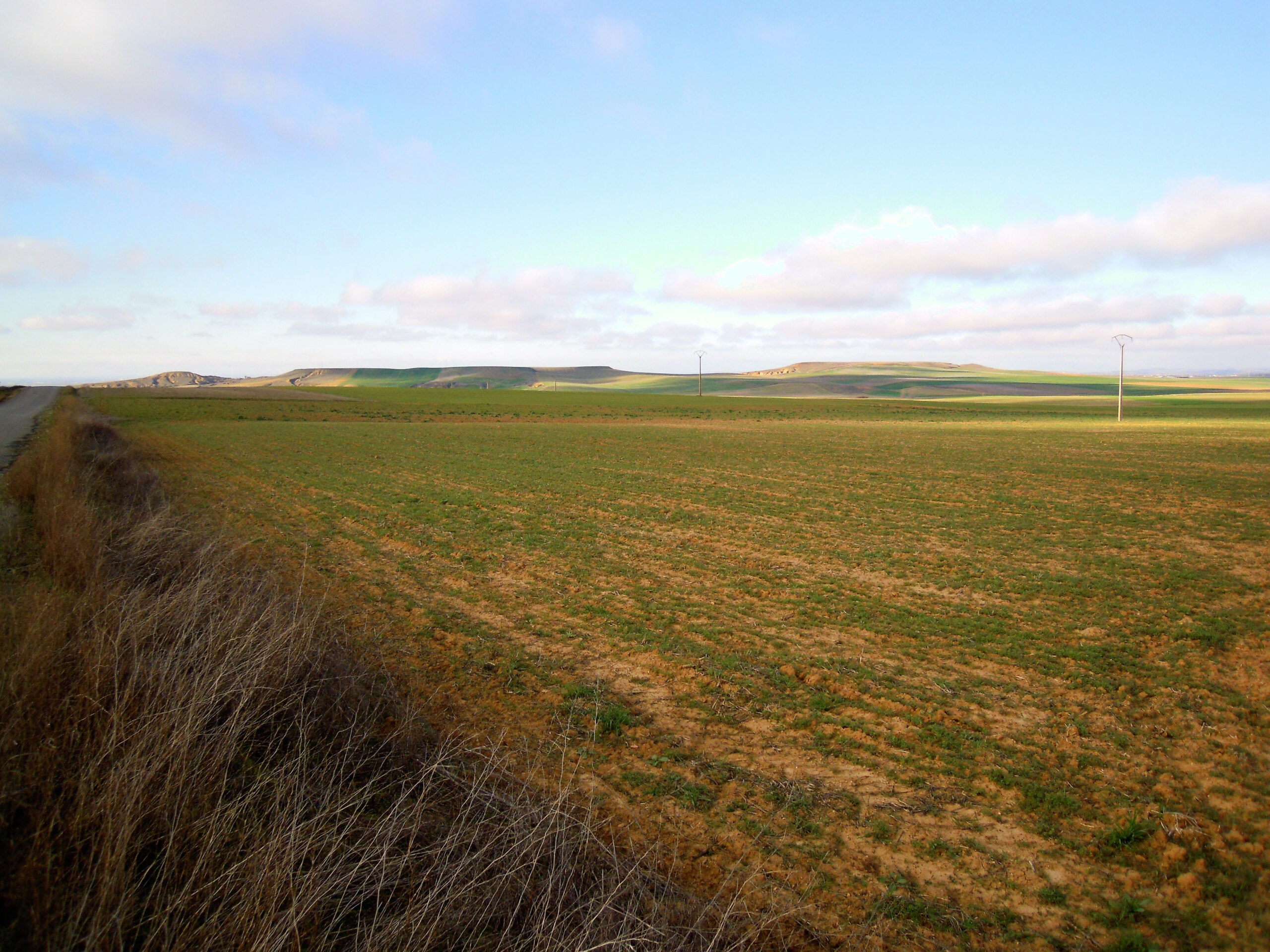 092 Los Cuetos de los Oteros entre Velilla y Gusendos y del otro lado, Nava, San Justo y Corbillos de los Oteros