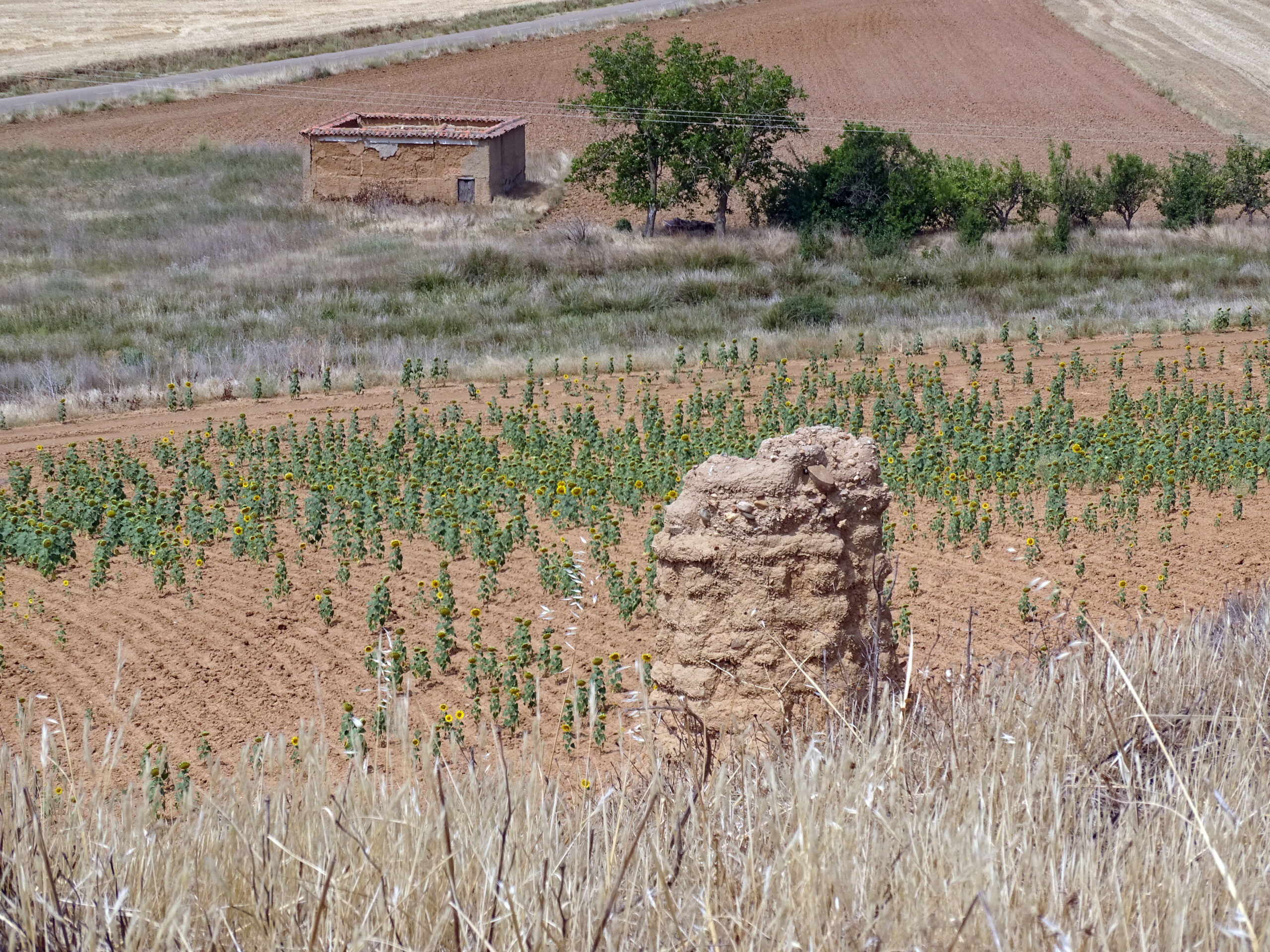 104 Tierra Sobre Tierra