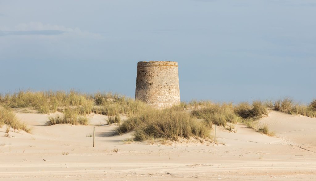 Torre de la Carbonera