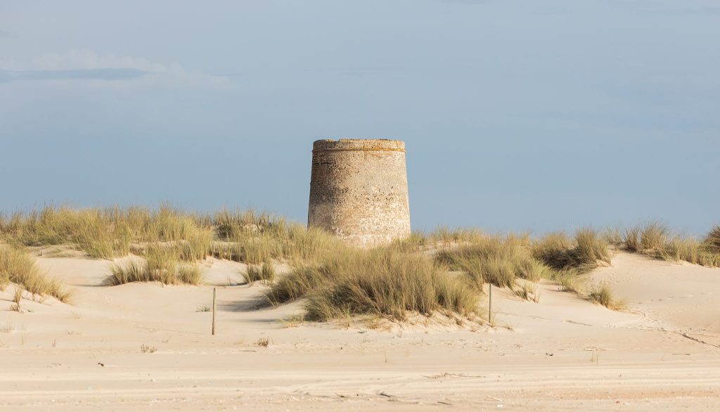 Torre de la Carbonera