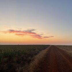 El horizonte recogido