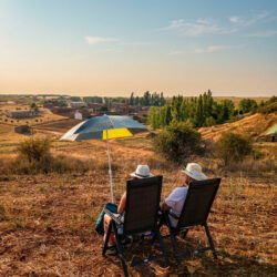 1ª Linea de girasoles