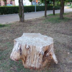 Mesón el Tocón