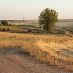 Camino para perderse