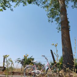 Mi bici del pueblo