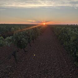 Atardece en la Costana