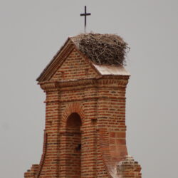 Por S. Blas la cigüeña verás.
