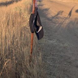 Camino de la dehesa