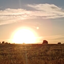 Ocaso