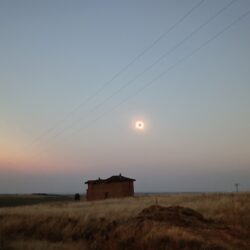 Un palomar bajo otro cielo