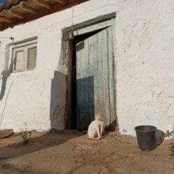 Entre la tierra y la cal